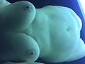 6fa64849.jpg
