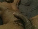 40155f38.jpg