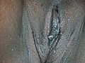 e13eec85.jpg