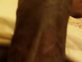 Filename=e12e1660.jpg
Filesize=2312KB
Dimensions=1598x3096
Date added=Jul 11, 2015 e12e1660.jpg