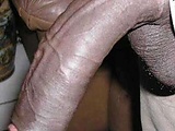 5f5e7e4a.jpg