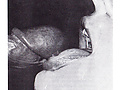 Filename=5a0a96b5.jpg
Filesize=431KB
Dimensions=688x1016
Date added=Oct 27, 2015 5a0a96b5.jpg