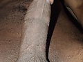 Filename=dc5a938e.jpg
Filesize=34KB
Dimensions=450x600
Date added=Nov 10, 2015 dc5a938e.jpg