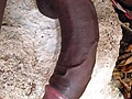 Filename=559dcc16.jpg
Filesize=90KB
Dimensions=496x682
Date added=Dec 18, 2015 559dcc16.jpg