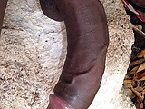 559dcc16.jpg