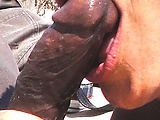 bde77818.jpg