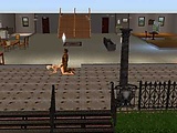 b23f8aa4.jpg