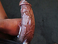 a80c533f.jpg