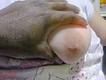 Filename=8ce420fc.jpg
Filesize=221KB
Dimensions=670x474
Date added=Apr 20, 2016 8ce420fc.jpg