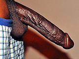 442fd402.jpg