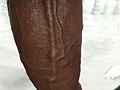 09945679.JPG