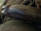 d4b9f457.jpg