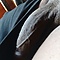 alby99's avatar