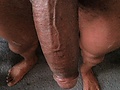 Filename=e9cf5ac9.jpg
Filesize=218KB
Dimensions=612x816
Date added=Aug 25, 2016 e9cf5ac9.jpg