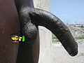 Filename=486df8db.jpg
Filesize=86KB
Dimensions=1032x774
Date added=Dec 30, 2016 486df8db.jpg