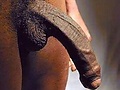 Filename=5677c13e.jpg
Filesize=19KB
Dimensions=300x400
Date added=Dec 30, 2016 5677c13e.jpg