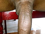 53190668.jpg