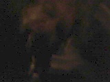 2f2bbf57.JPG