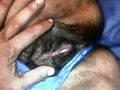 Filename=8a2a2d67.jpg
Filesize=346KB
Dimensions=1728x1152
Date added=Jan 28, 2017 8a2a2d67.jpg