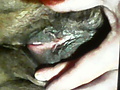Filename=aa0baaac.jpg
Filesize=360KB
Dimensions=1152x1728
Date added=Jan 28, 2017 aa0baaac.jpg
