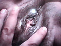 Filename=0cc9f7df.jpg
Filesize=357KB
Dimensions=1728x1152
Date added=Jan 28, 2017 0cc9f7df.jpg