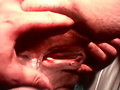 Filename=26cb5003.jpg
Filesize=337KB
Dimensions=1728x1152
Date added=Jan 28, 2017 26cb5003.jpg
