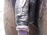 b6307269.jpg