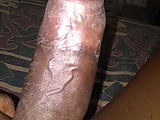 e4c9f1d3.jpg