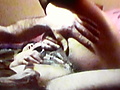 Filename=e95ee105.jpg
Filesize=348KB
Dimensions=1728x1152
Date added=Jul 11, 2017 e95ee105.jpg