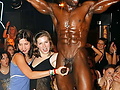 Filename=d9288180.jpg
Filesize=124KB
Dimensions=654x880
Date added=Sep 15, 2017 d9288180.jpg