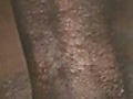 9cbf52f7.jpg