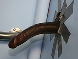 be794383.jpg