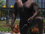 e7efe518.jpg