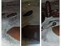 Filename=5a6d0eb4.png
Filesize=1024KB
Dimensions=1024x1024
Date added=Jun 03, 2018 5a6d0eb4.png