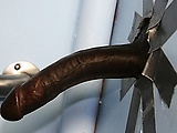 4844898d.jpg