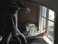 9224df93.jpg