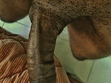 5362b0e6.jpg