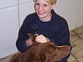 ce9eeb84.jpg