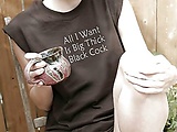 29553e76.jpg