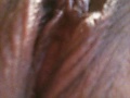 Filename=cbeeee23.jpg
Filesize=93KB
Dimensions=768x1024
Date added=Mar 23, 2019 cbeeee23.jpg