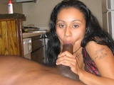 102e6954.jpg