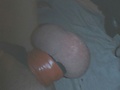 11b6166d.jpg