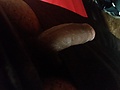 Filename=3e18061b.jpg
Filesize=3631KB
Dimensions=4096x2304
Date added=Aug 08, 2019 3e18061b.jpg