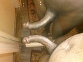 Filename=2b96ac42.jpg
Filesize=275KB
Dimensions=1280x960
Date added=Aug 23, 2019 2b96ac42.jpg