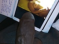 1275e3b1.JPG