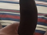 51194a2c.jpg