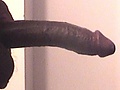 98288db8.jpg