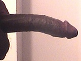 98288db8.jpg
