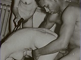 8d977b76.jpg