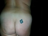 c2397099.jpg